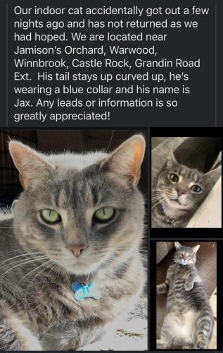 Lost Male Cat last seen Sugar Loaf and Gradin Road Ext. , Roanoke, VA 24018