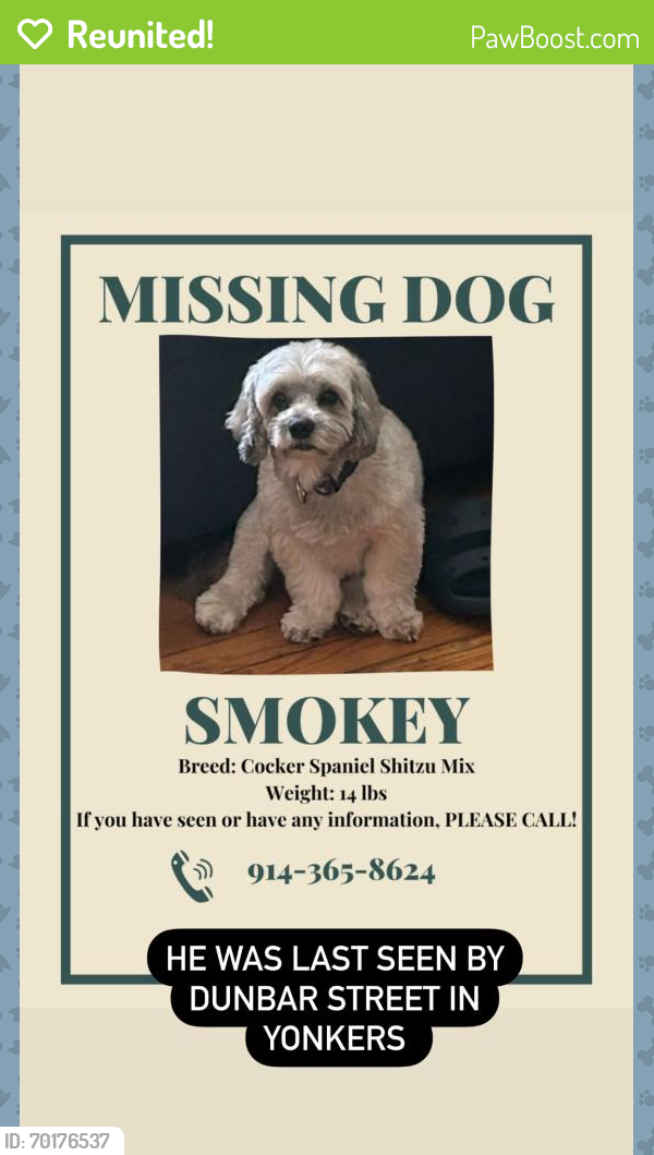 Reunited Male Dog last seen Johnny florist , Yonkers, NY 10701
