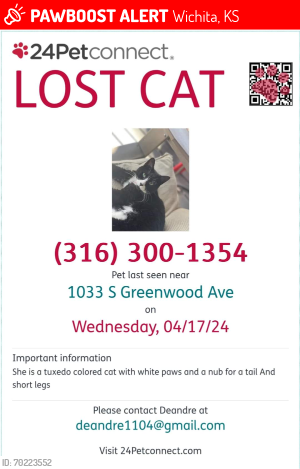 Lost Male Cat last seen South Greenwood, Wichita, KS 67211