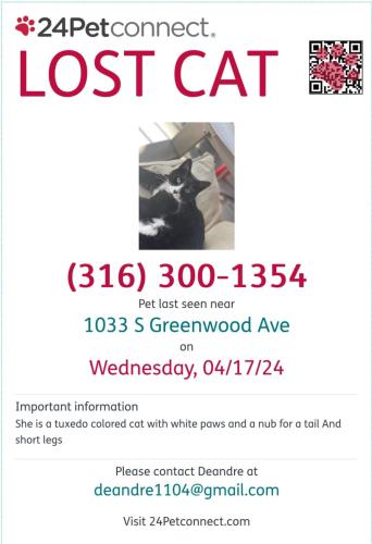 Lost Male Cat last seen South Greenwood, Wichita, KS 67211
