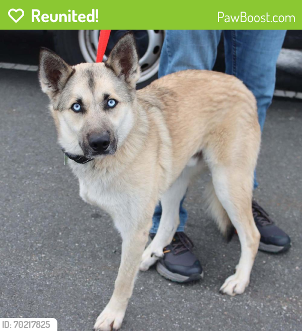 Reunited Male Dog last seen Jeffery Road, Great Falls, VA 22066