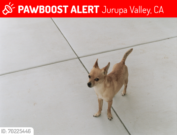 Lost Male Dog last seen Sierra, Jurupa Valley, CA 92509