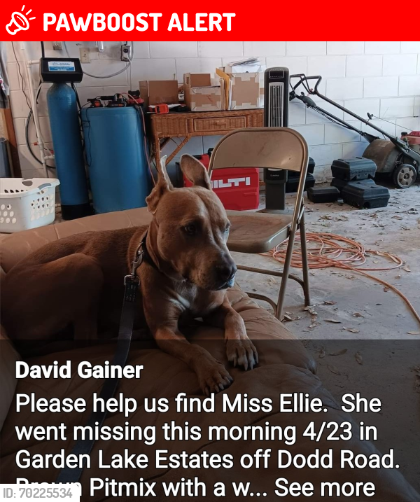 Lost Female Dog last seen Garden Lake ests, Seminole County, FL 32765