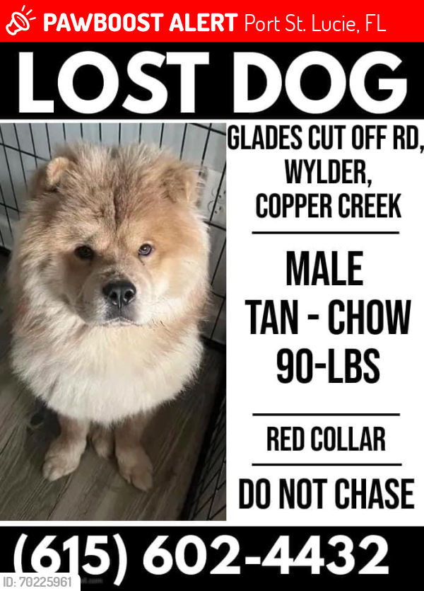Lost Male Dog last seen Glades cut off/commerce/Wylder community , Port St. Lucie, FL 34986