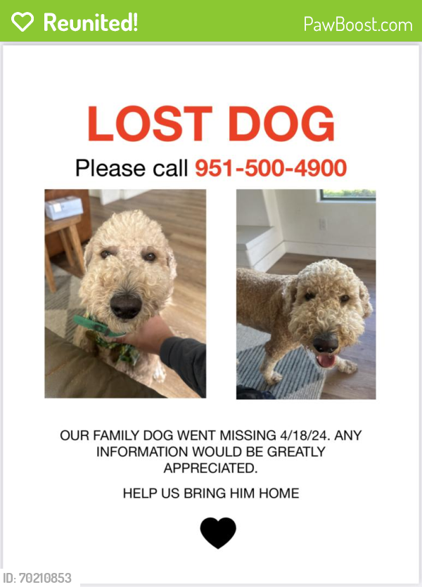 Reunited Male Dog last seen Jackson and Cleveland , Riverside, CA 92503