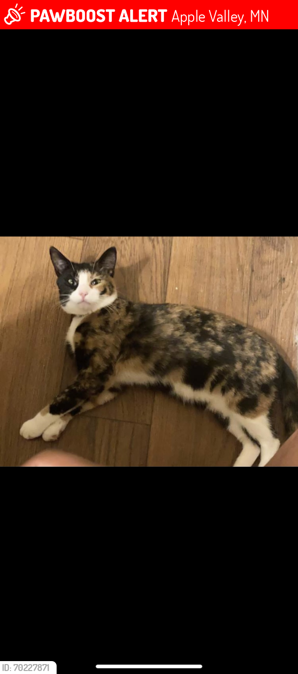 Lost Female Cat last seen 127th st w, Apple Valley, MN 55124