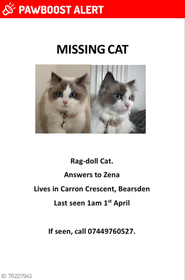 Lost Female Cat last seen G61, Drumchapel, Scotland G15