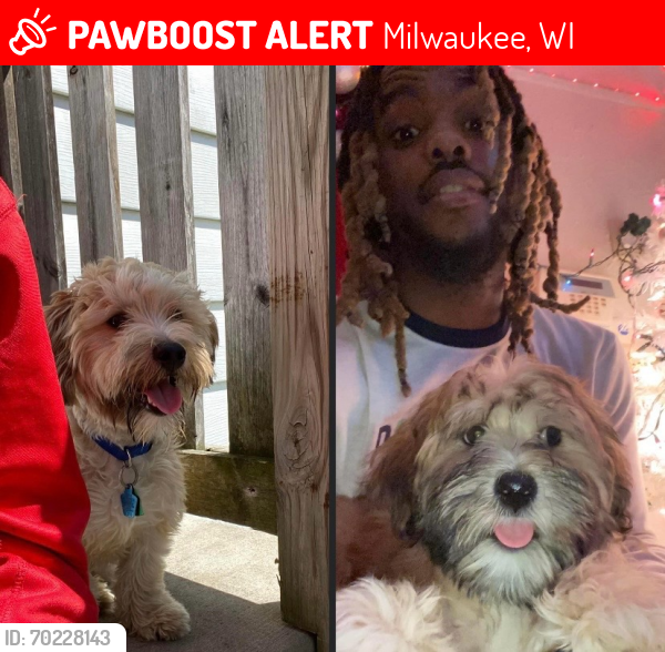 Lost Male Dog last seen Stark, Milwaukee, WI 53209