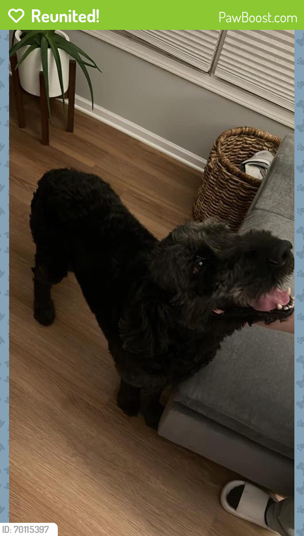 Reunited Male Dog last seen Near Galloway Rd, Galloway, OH 43119, USA, Galloway, OH 43119