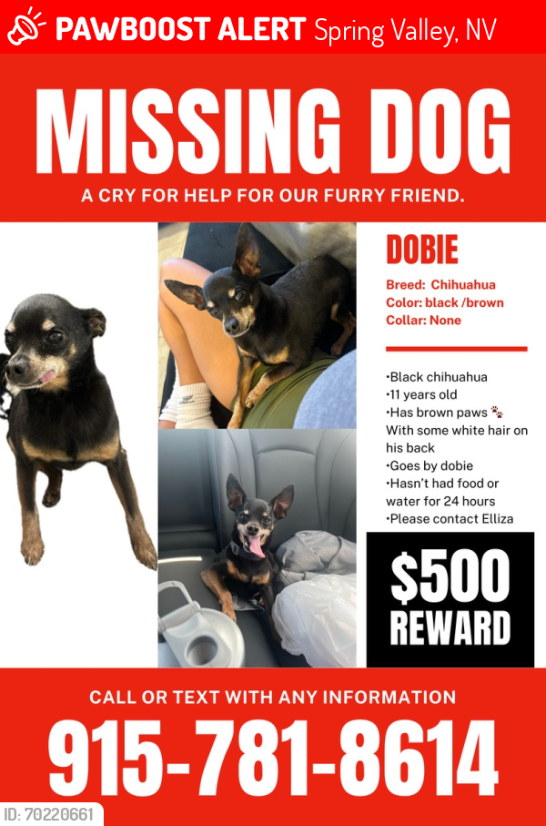 Lost Male Dog last seen Durango robindale, Spring Valley, NV 89148