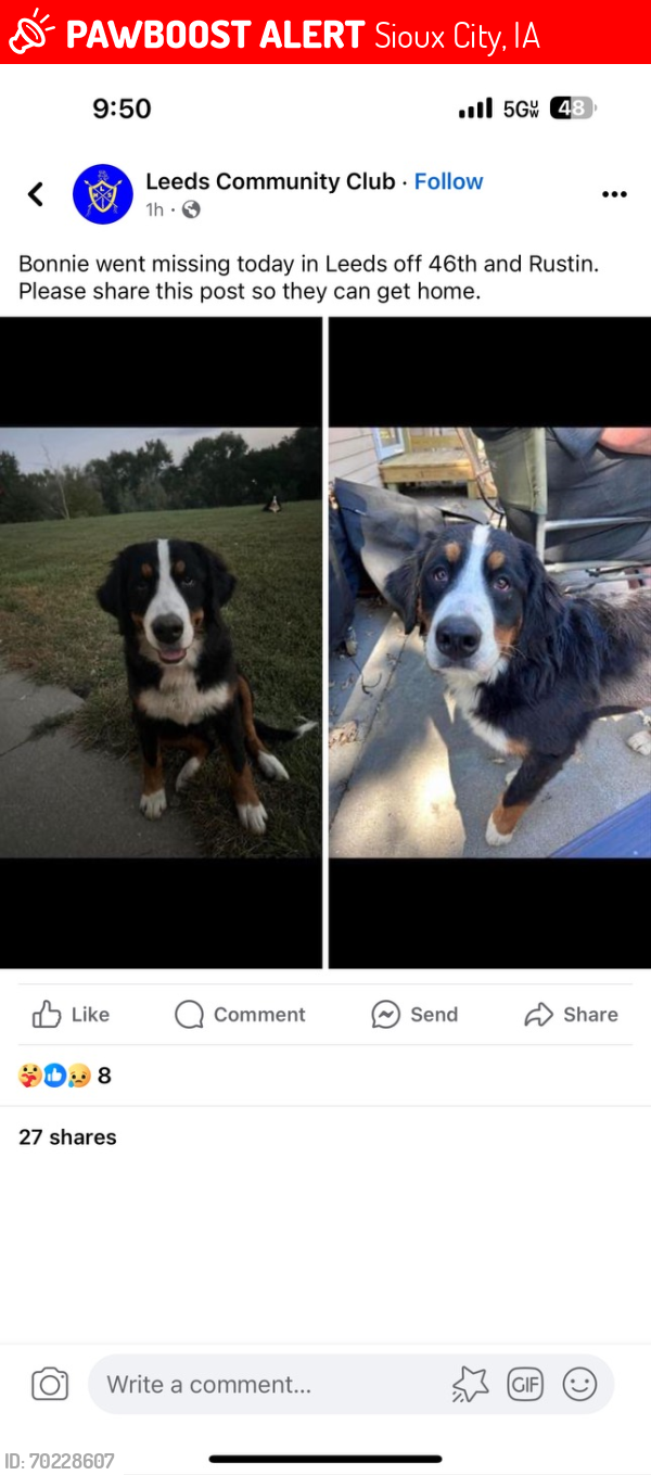 Lost Female Dog last seen 46th and Rustin, Sioux City, IA 51108