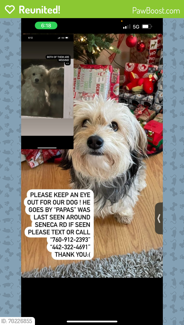 Reunited Male Dog last seen El evado rd, Victorville, CA 92392