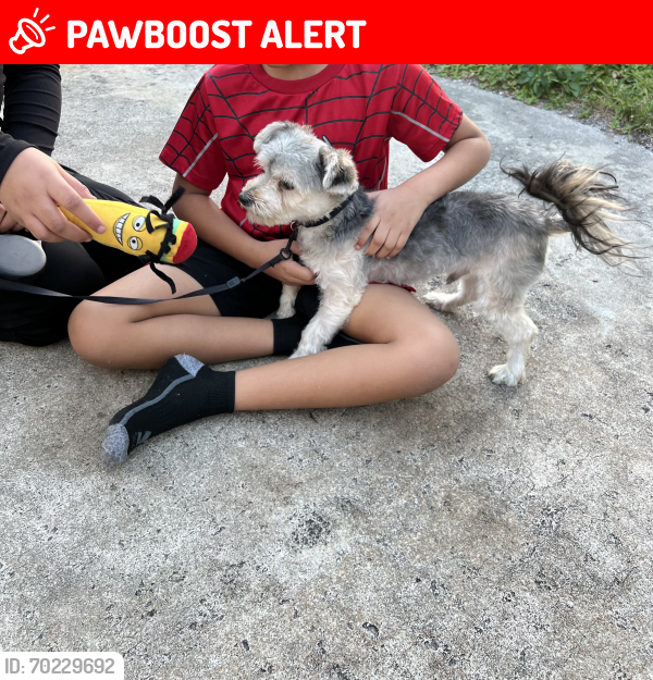 Lost Male Dog last seen Near w 6th st Rivera beach fl 33404, West Palm Beach, FL 33404