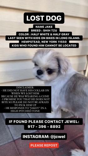 Lost Male Dog last seen Kennedy Memorial Park, Hempstead, NY 11550