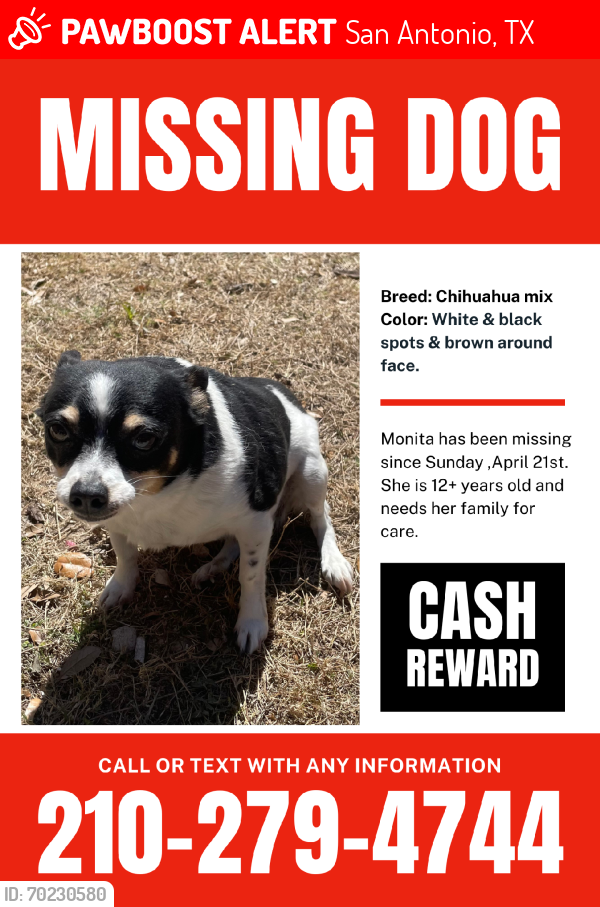 Lost Female Dog last seen Near potranco rd, San Antonio, TX 78251