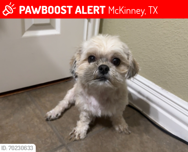Lost Female Dog last seen hse, McKinney, TX 75070