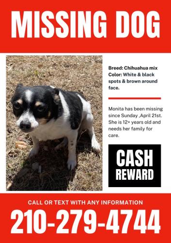 Lost Female Dog last seen Potranco &1604, San Antonio, TX 78251