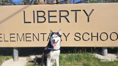 Lost Male Dog last seen Liberty Elementary School , Sioux City, IA 51103