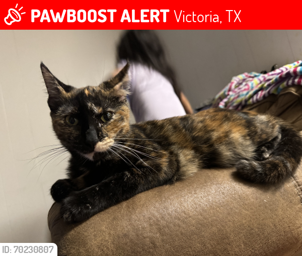 Lost Female Cat last seen Dairy treat, Victoria, TX 77901