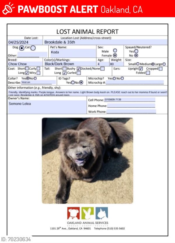 Lost Female Dog last seen Brookdale avenue & 35th avenue, Oakland, CA 94619