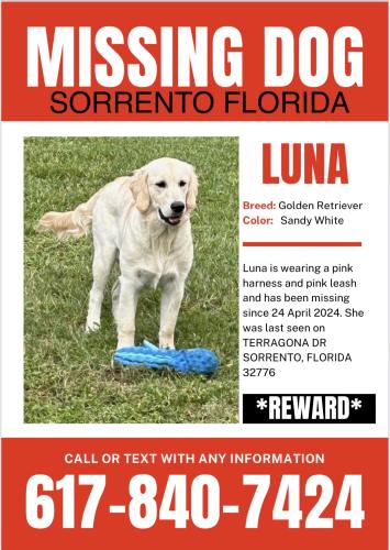 Lost Female Dog last seen Terragona drive and sardina, Sorrento, FL 32776