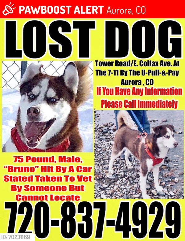 Lost Male Dog last seen Tower Road/E Colfax Avenue, Aurora, CO 80018