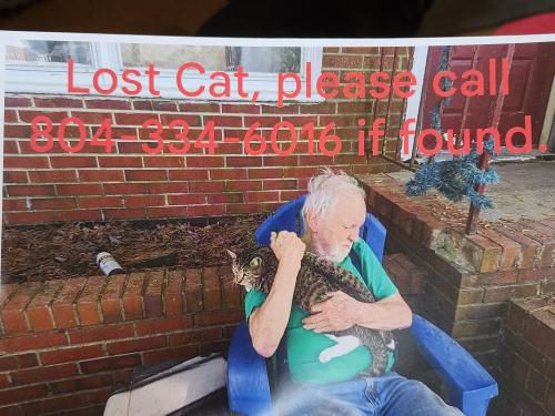 Lost Female Cat last seen Manlyn Rd, Three Chopt, Richmond, VA 23229