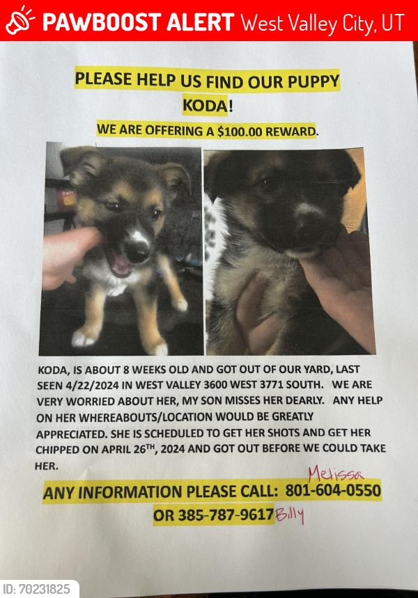 Lost Female Dog last seen Near west 3700 south, West Valley City, UT 84120
