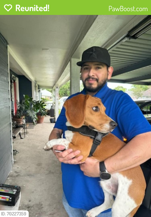 Reunited Male Dog last seen Crosstimbers , Houston, TX 77022