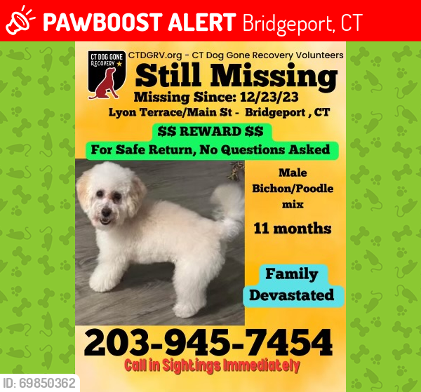 Lost Male Dog last seen Washington blvd, main st, , Bridgeport, CT 06604