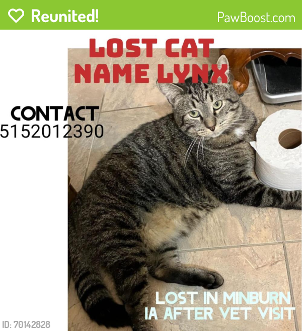 Reunited Male Cat last seen Minburn Iowa vet office , Minburn, IA 50167