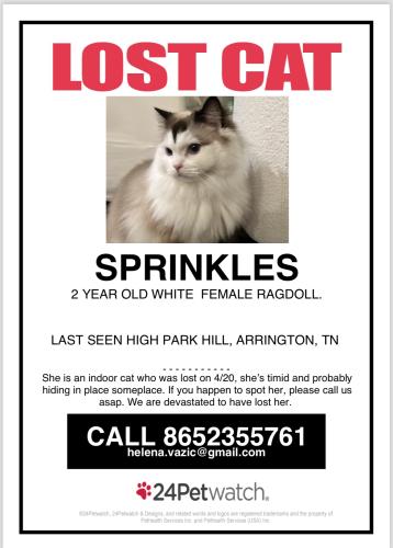 Lost Female Cat last seen Wilson Pike/Murfreesboro Rd, Williamson County, TN 37014