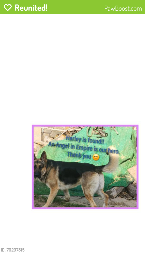 Reunited Male Dog last seen El Vista-Encina-Robles-Capistrano , Modesto, CA 95354