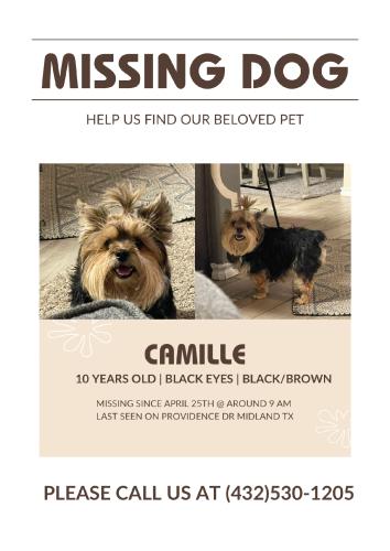 Lost Female Dog last seen Midkiff - providence, Midland, TX 79708