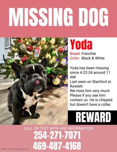 Lost Male Dog last seen Chiesa and miller road , Rowlett, TX 75088