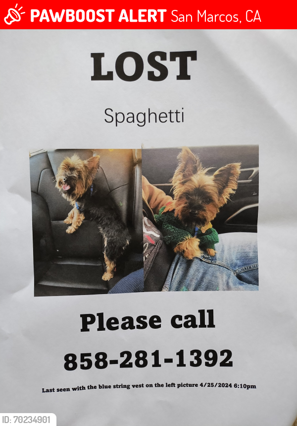 Lost Male Dog last seen LaMoree Rd , San Marcos, CA 92078