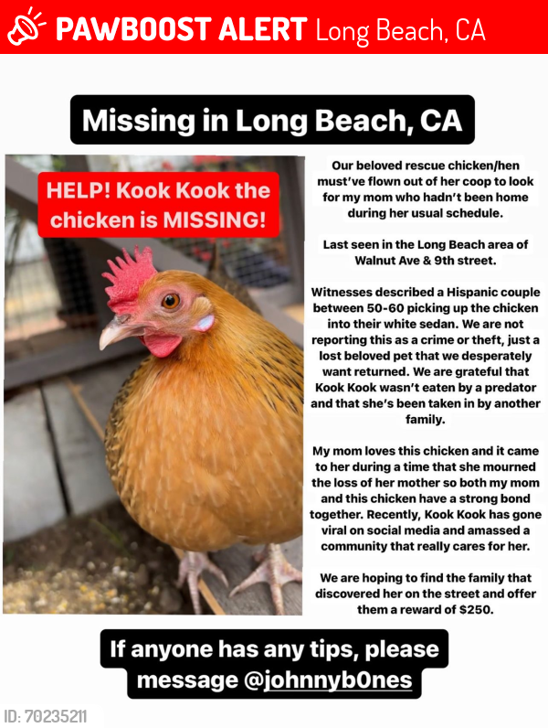 Lost Female Other last seen Walnut Ave and 9th street , Long Beach, CA 90813