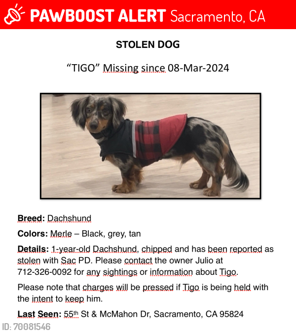 Lost Male Dog last seen 55th & McMahon Dr; heading towards Stockton Blvd, Sacramento, CA 95824