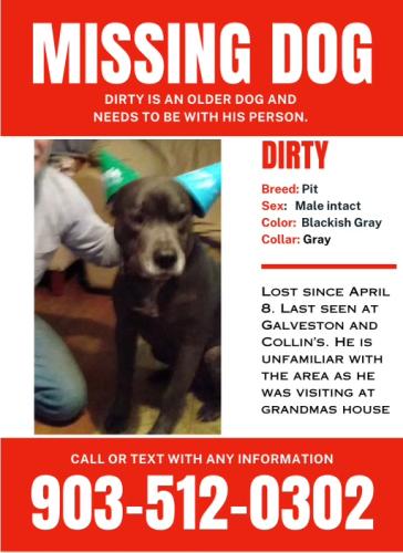 Lost Male Dog last seen Near N Galveston street  bremond tx  76629, Bremond, TX 76629