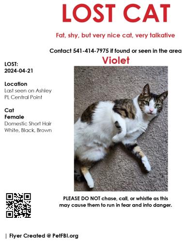 Lost Female Cat last seen Cedar Street, Chestnut Street, Central Point , Central Point, OR 97502
