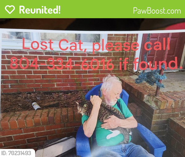 Reunited Female Cat last seen Manlyn Rd, Three Chopt, Richmond, VA 23229