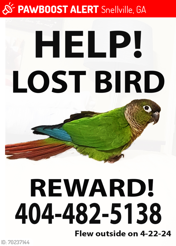 Lost Unknown Bird last seen Briscoe Park and Lenora Church Road, Snellville, GA 30078