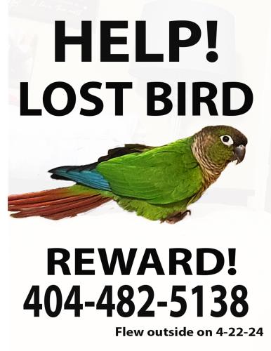 Lost Unknown Bird last seen Briscoe Park and Lenora Church Road, Snellville, GA 30078