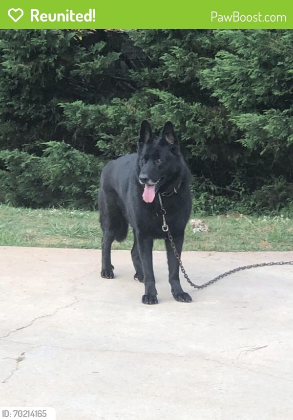 Reunited Male Dog last seen Henry County Recreation Center , Henry County, GA 30294