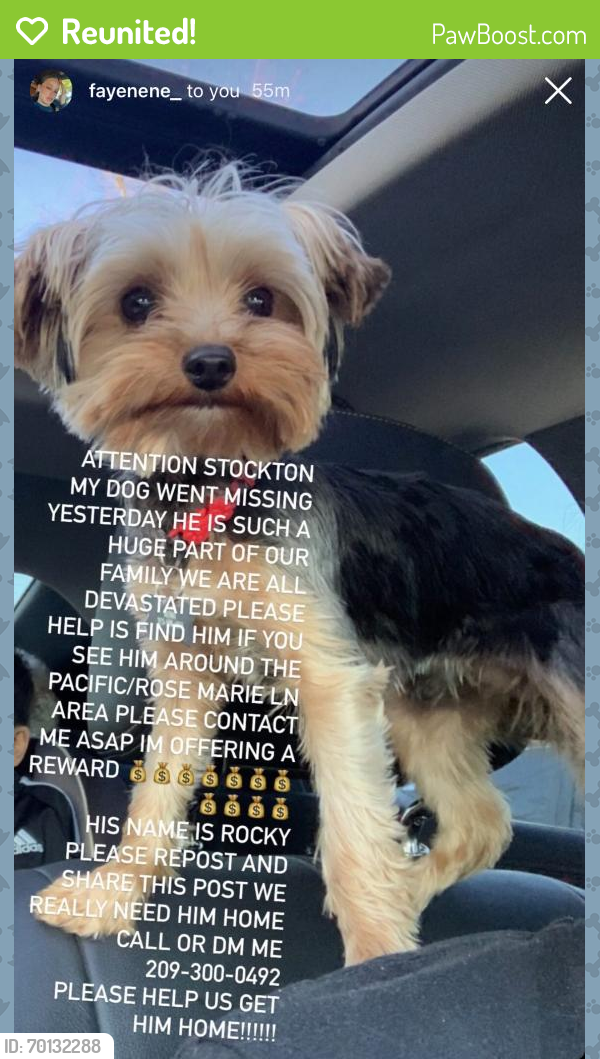 Reunited Male Dog last seen Rosemarie Lane , Stockton, CA 95207