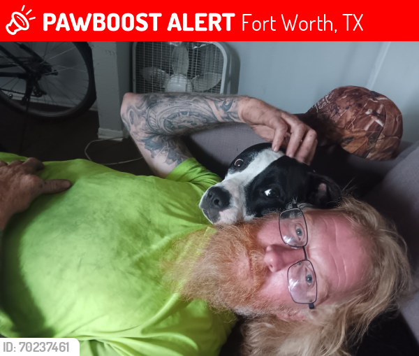 Lost Female Dog last seen Wolf park/gateway park , Fort Worth, TX 76111