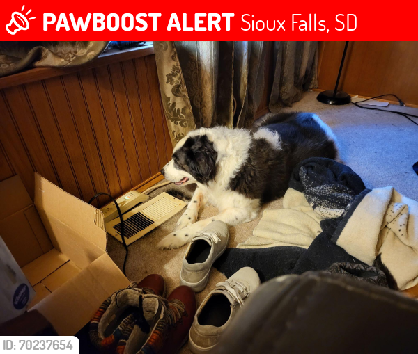 Lost Male Dog last seen Marion road Sioux Falls, Sioux Falls, SD 57107