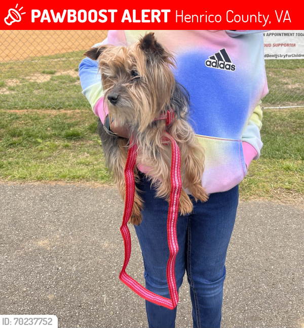 Lost Unknown Dog last seen Cedar fork rd.. eastern henrico, Henrico County, VA 23223