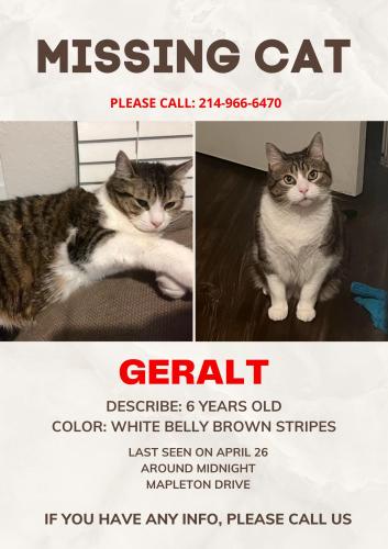 Lost Male Cat last seen Ferguson and Peavy, Dallas, TX 75228