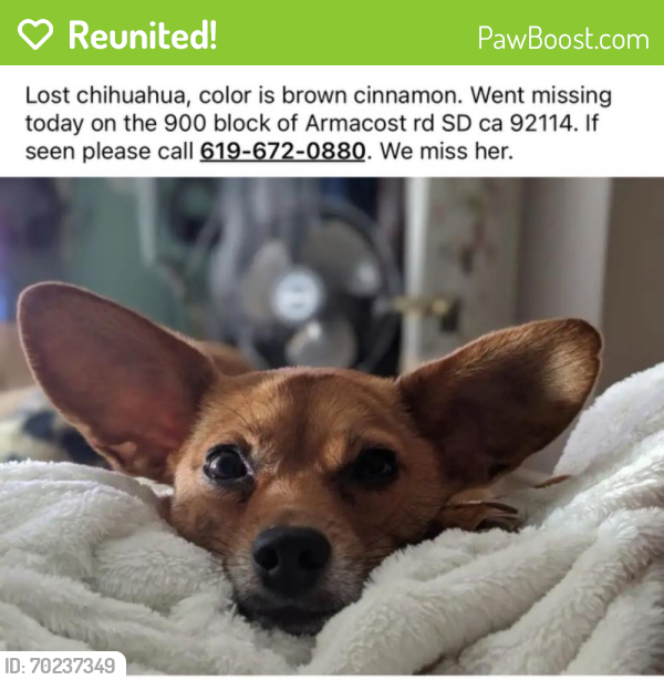 Reunited Female Dog last seen Armacost Rd, San Diego, CA 92114, USA, San Diego, CA 92114
